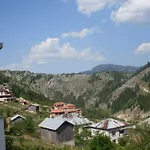 Jani Trigrad