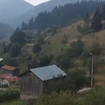Jani Trigrad