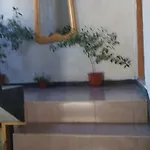 Jani Trigrad