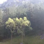 Jani Trigrad