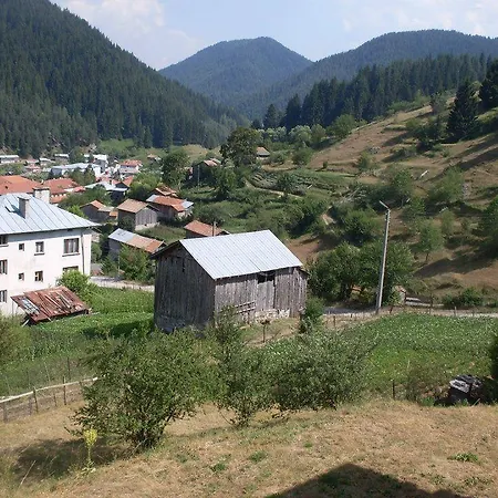 Jani Guest house