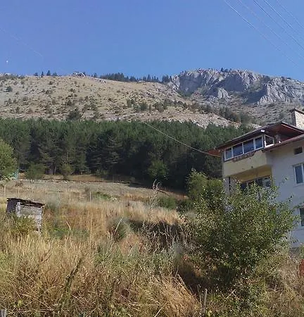 Guest house Jani