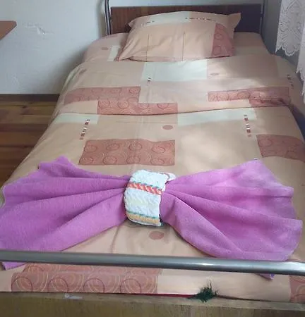 Guest house Jani