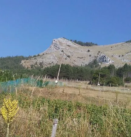 Jani Trigrad