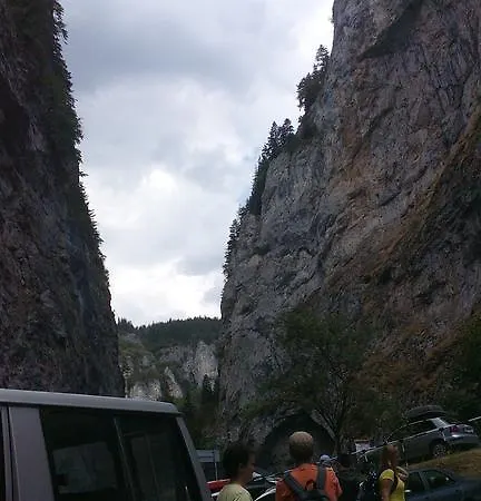 Jani Trigrad