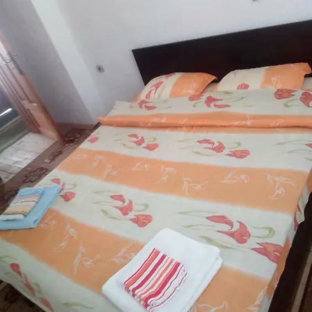 Jani Guest house