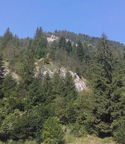 Guest house Jani Trigrad